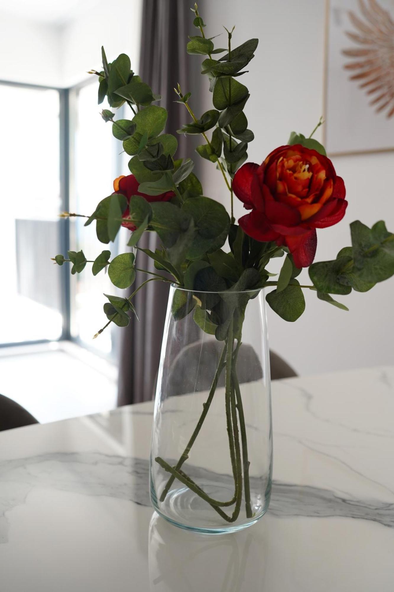 Apartment Solis 1 *